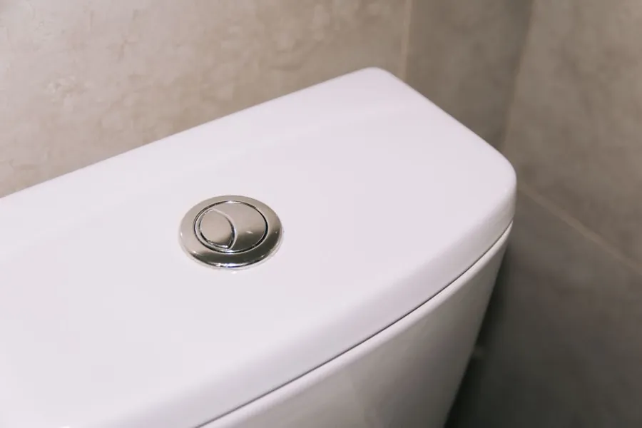 A dual flush plate, the only service access to a concealed cistern in an Exeter bathroom
