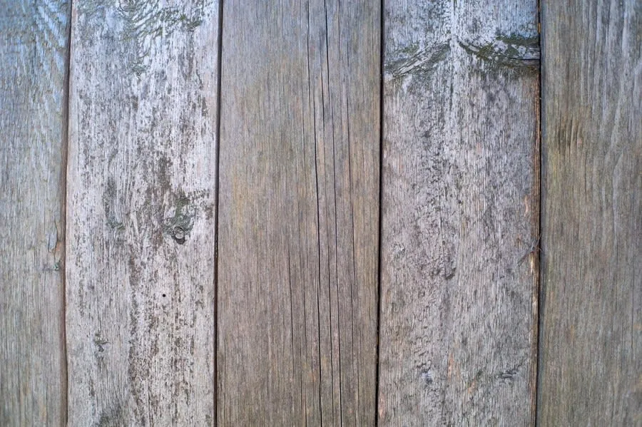 Aged timber floorboards of the kind carrying bath weight in Exeter's period houses